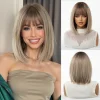 Brown Blonde Ombre Synthetic Wigs Short Straight Layered Wig for Women Afro Heat Resistant Cosplay Daily Natural Hair with Bangs